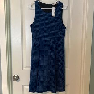 NWT 41 Hawthorn stretchy dress